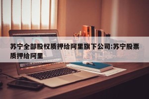 苏宁全部股权质押给阿里旗下公司:苏宁股票质押给阿里